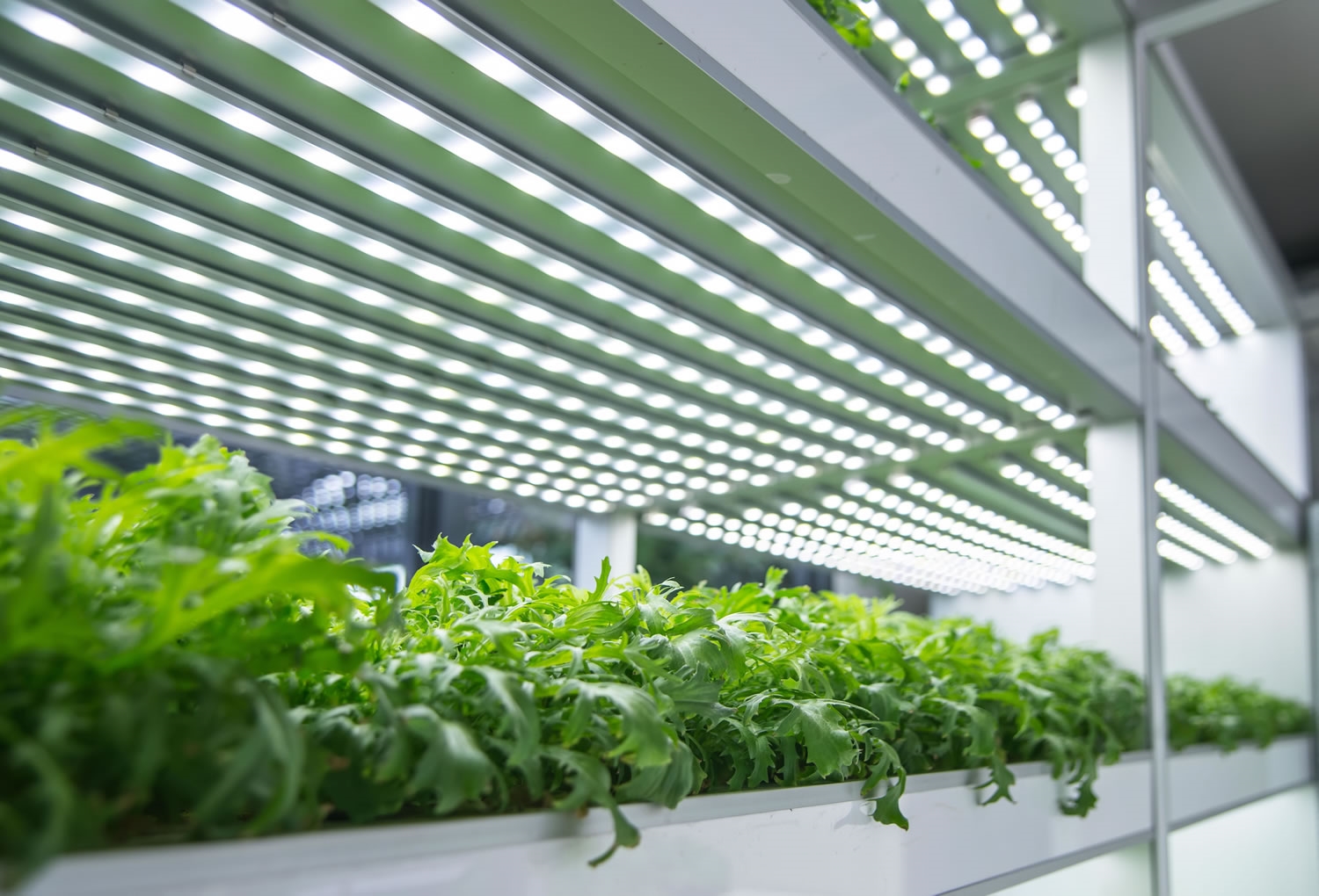 Case Study: Conformal Coating Improves Reliability of Grow Lights without Affecting Light Properties - Banner